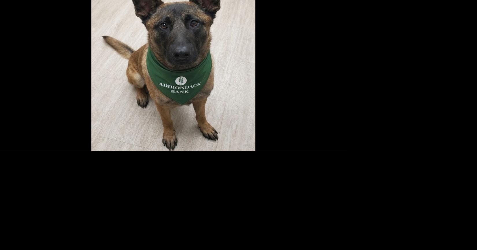 Read moreNew Hartford Police Department to welcome new K-9 officer
