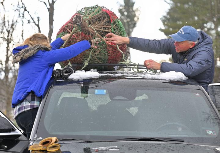 Local Christmas tree farms are ready for a busy holiday season ...