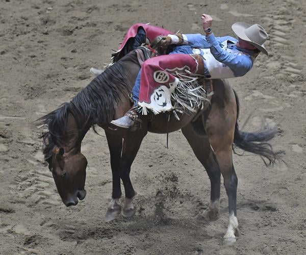 GALLERY Utica Stampede Rodeo and Expo at the Adirondack Bank Center