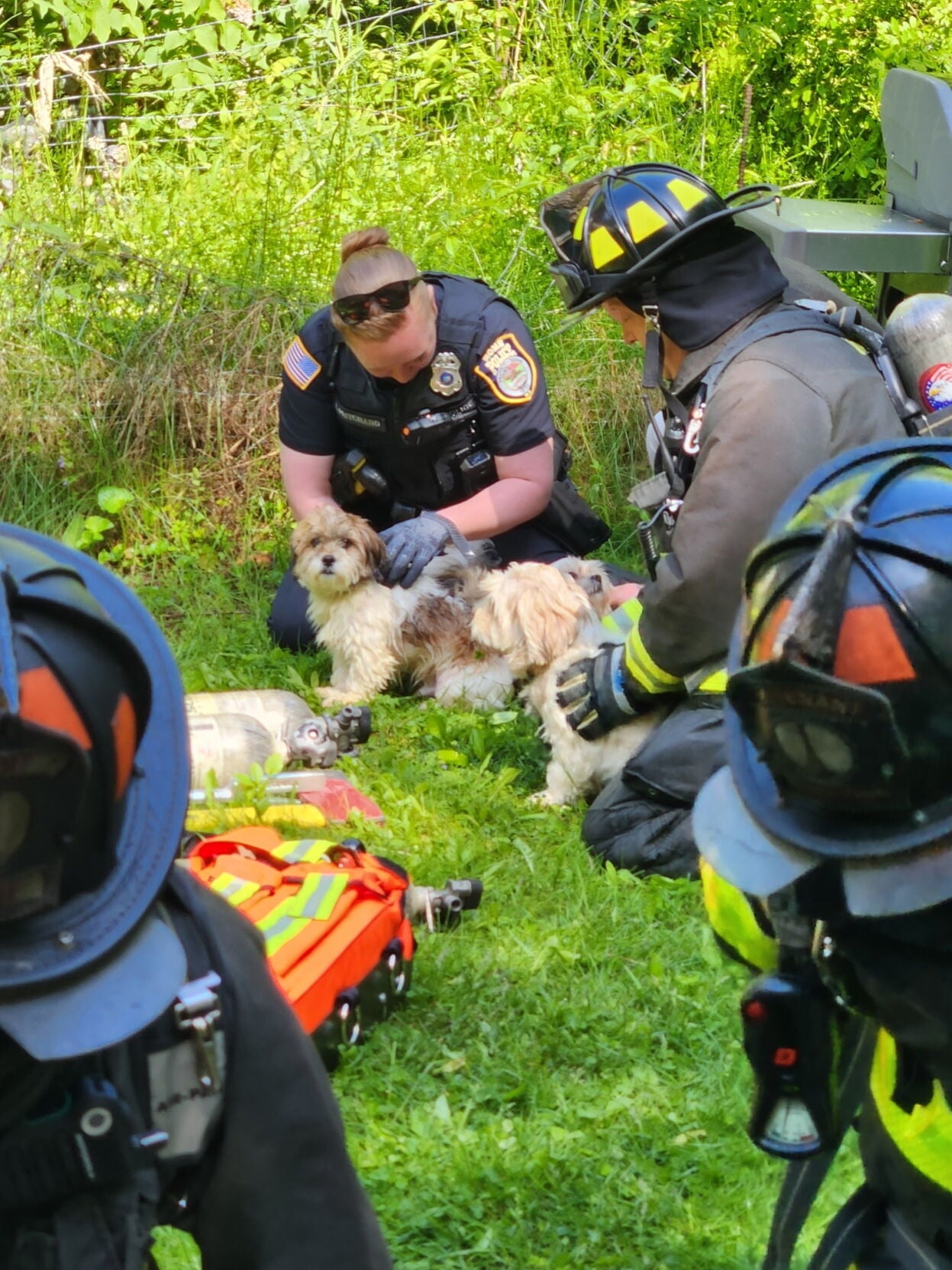 Four pets die in Maple Street fire in Rome | News | romesentinel.com