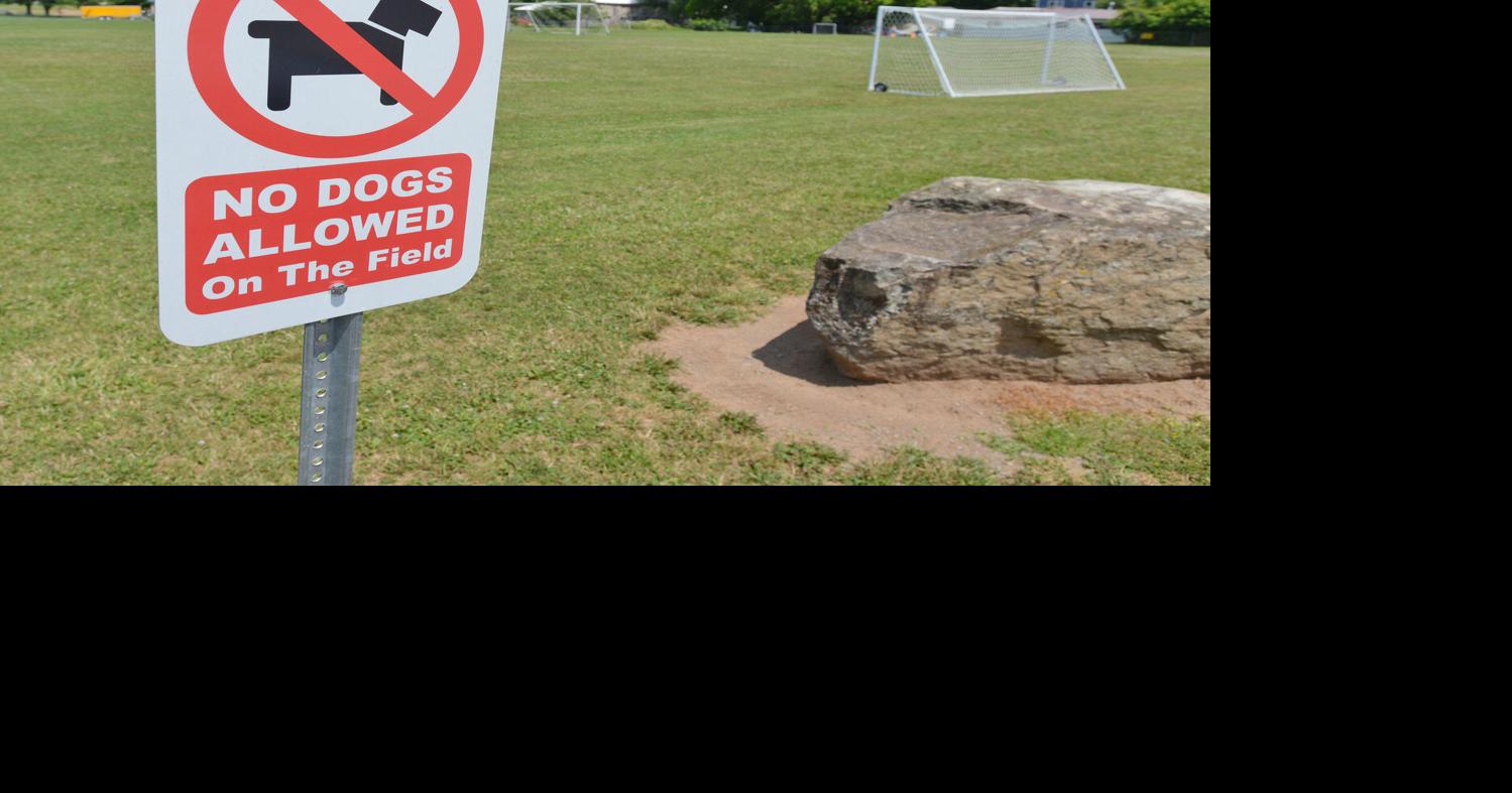 Westmoreland Town Park bans dogs due to waste issues