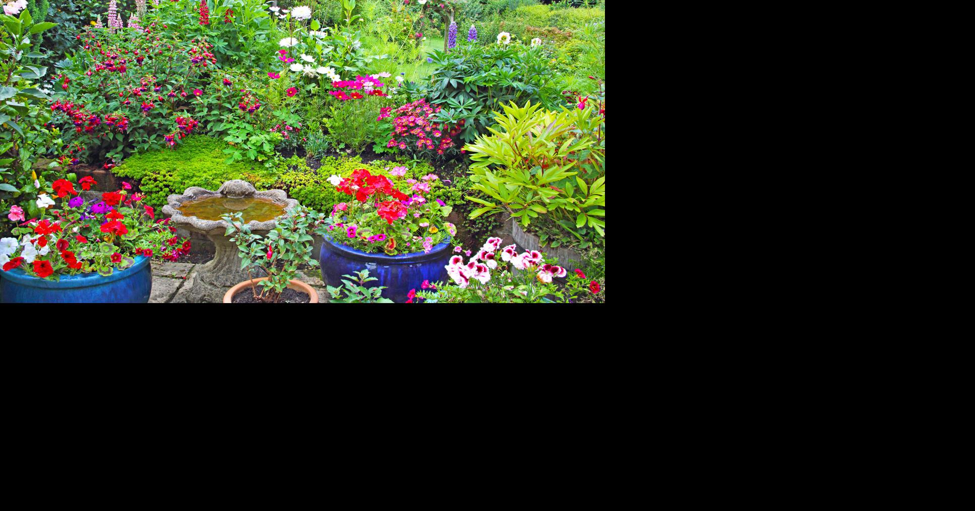 GARDENING IN CNY GARDENING IN CNY: These simple tips can help control mosquitoes By Rosanne Loparco | Master Gardener Volunteer Jul 22, 2026 11 mins ago