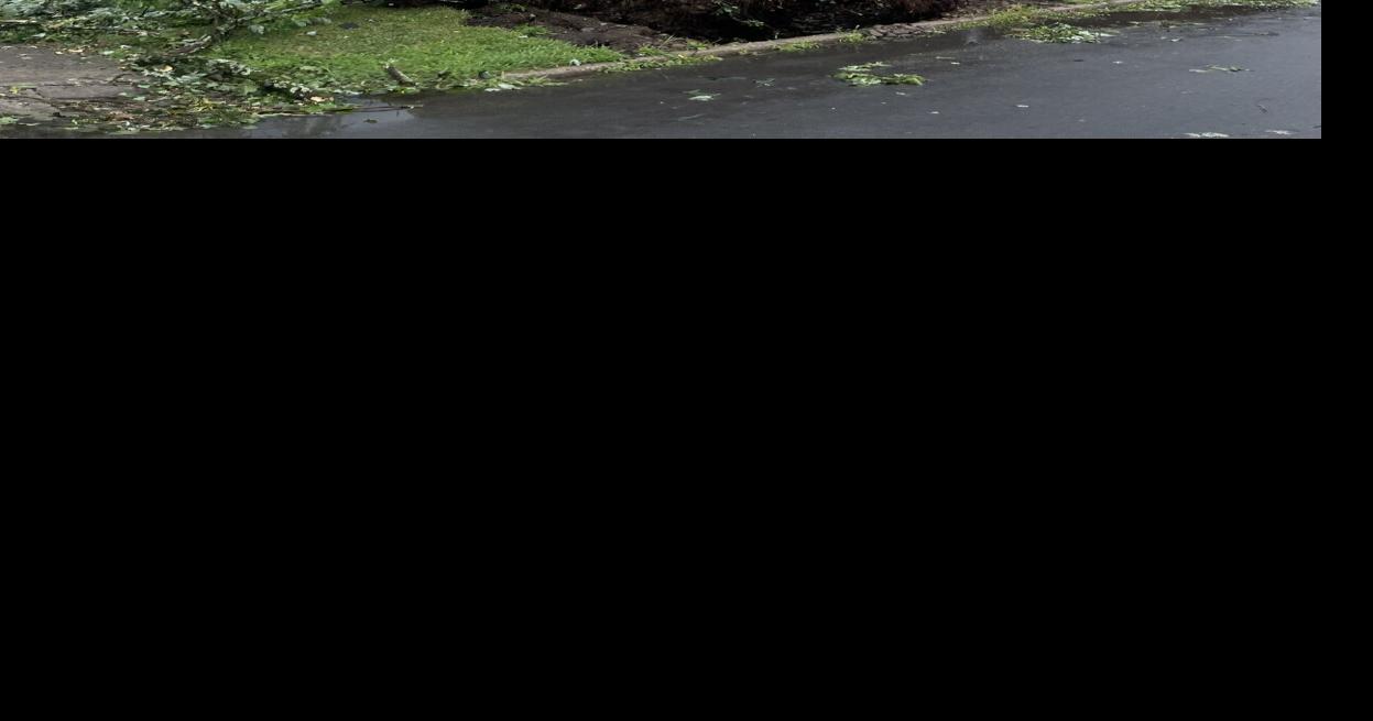 Storm damage in Rome | | romesentinel.com