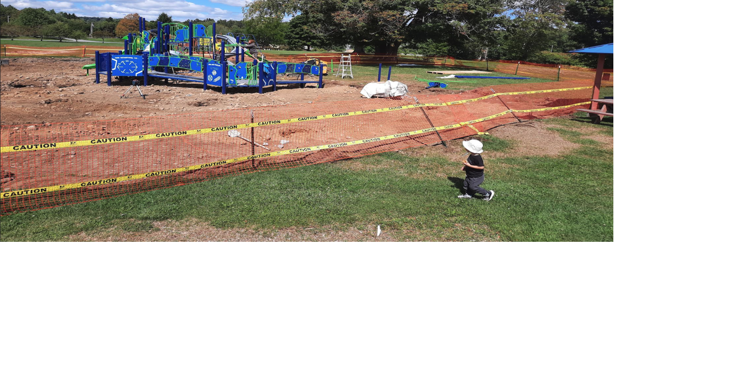 Playground and problem parcels among topics for Lee board | News ...