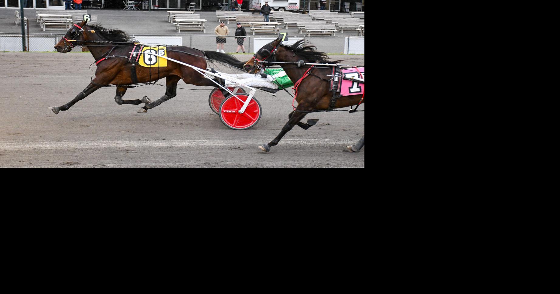 Read moreDelayed Hanover captures Open Trot at Vernon Downs