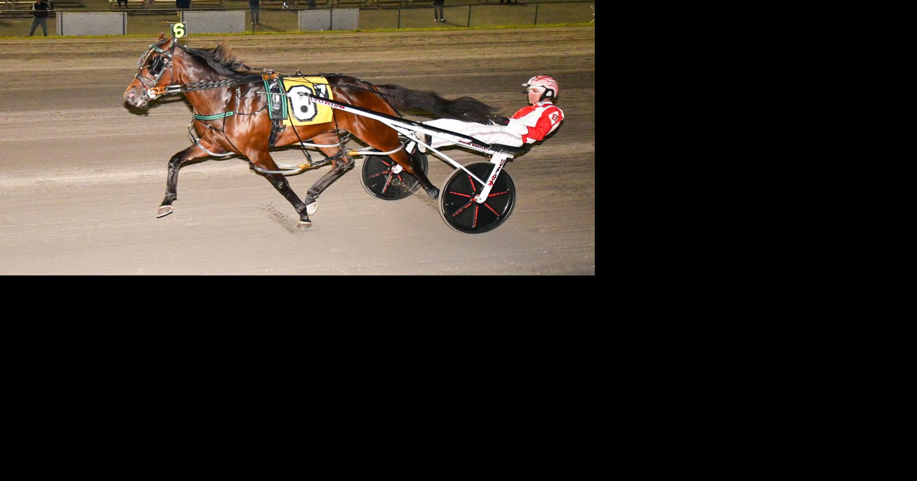 Bartlett drives three of four Big Apple winners at Vernon | Sports ...