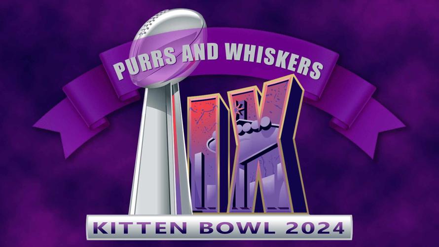 Purrs and Whiskers Kitten Bowl celebrates local cat rescue and