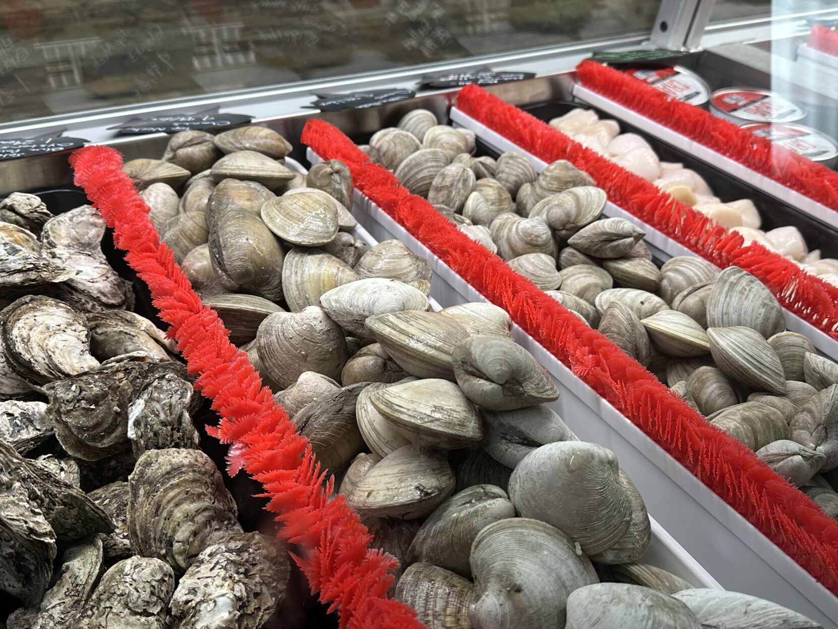 Fresco Fish to relocate into Dippin Donuts building | Entertainment ...