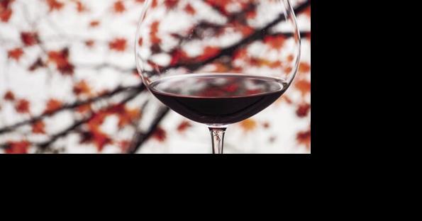 HalloWine returns with wine tastings and haunted fun - Vimarsana News