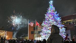 Rome Seeks New Christmas Tree For Holiday Celebrations