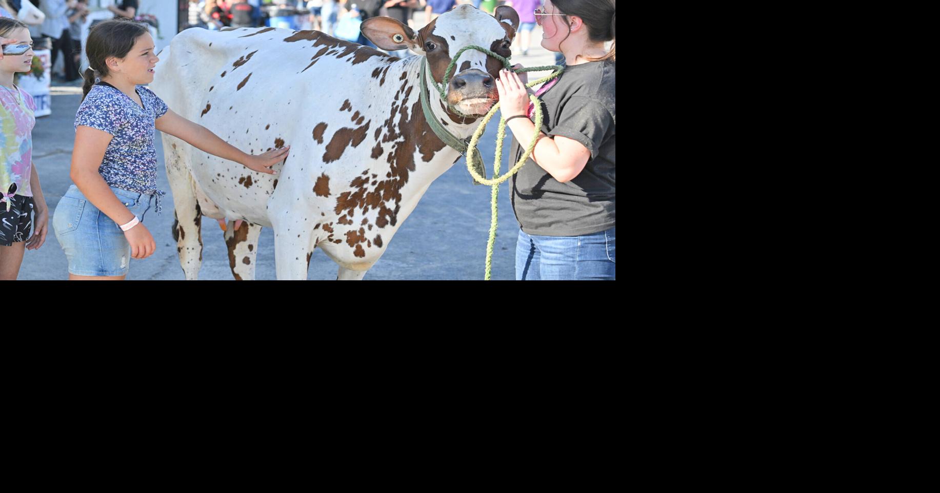 Boonville-Oneida County Fair attendance up from last year | Boonville ...