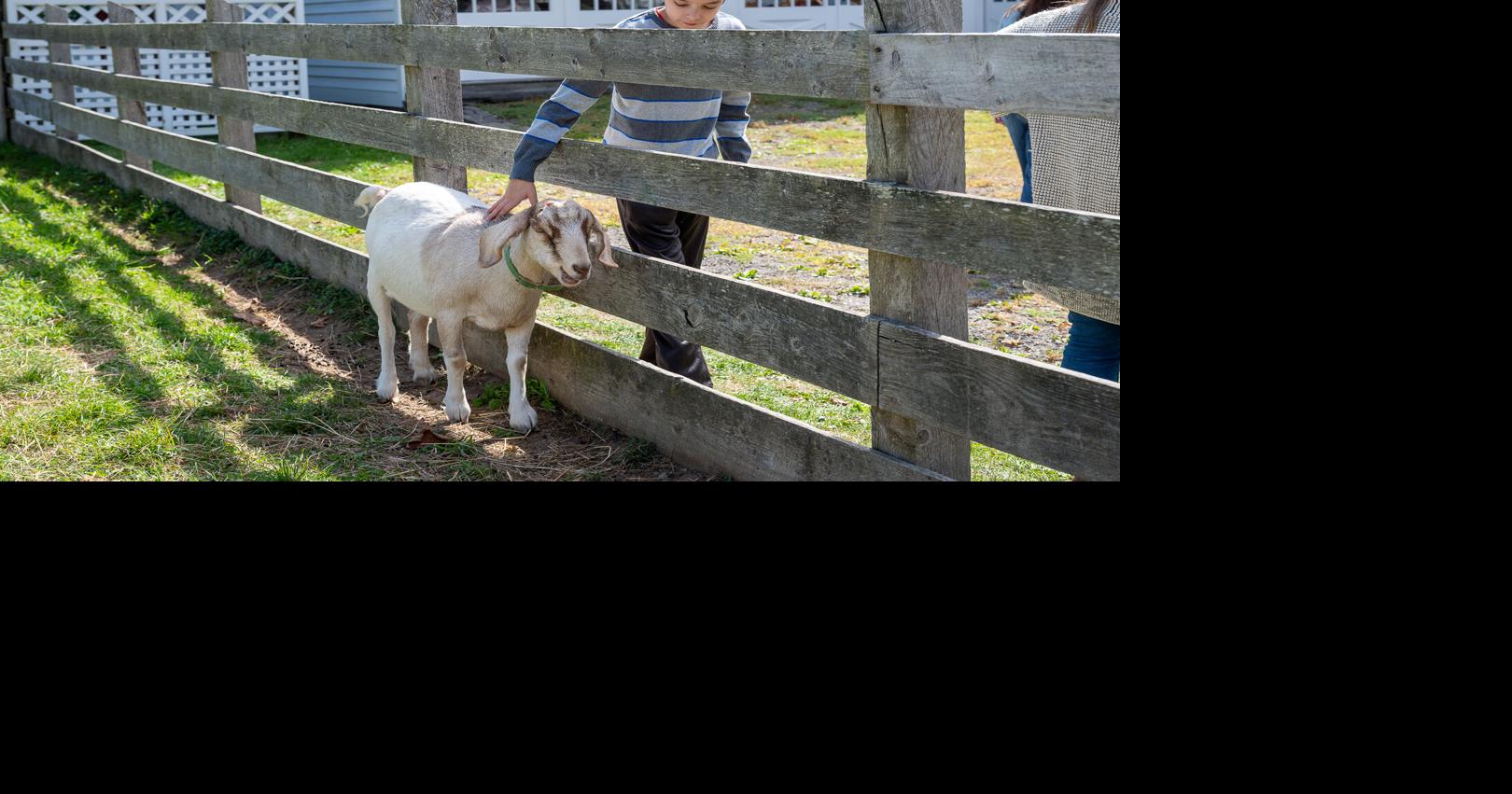 Read moreDay trip destination: Step back in time at Fenimore Farm & Country Village in Cooperstown