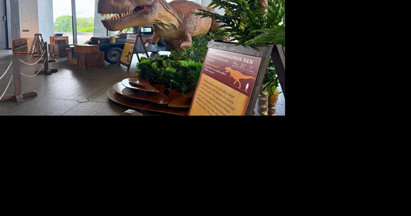 Read moreDAY TRIP DESTINATION: Dinosaurs, fossils and hands-on fun await at New York State Museum