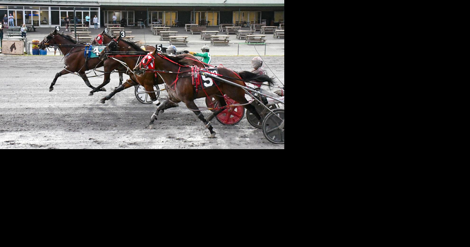 Read moreChris Long drives five winners on Saturday at Vernon Downs