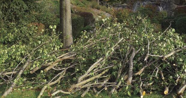 SWITCH TO CONTAINERIZED PICKUP JUNE 1 Utica's bulk green waste pickup to end for the season