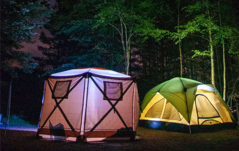 DEC seeks camp ambassadors for upcoming season | Local charity and non ...