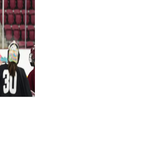 Read moreColgate women's hockey adds seven players for upcoming season