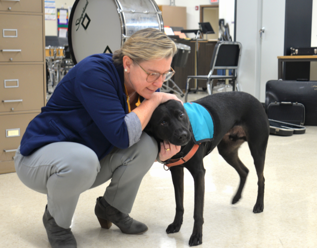 Therapy dogs help students navigate stress, anxiety in Cortland Pets