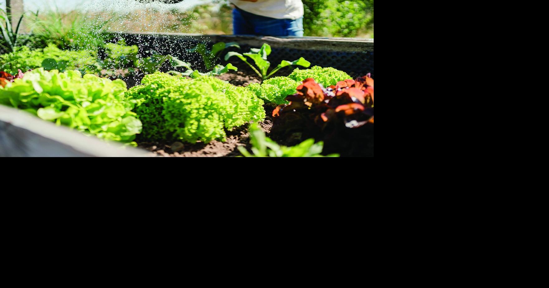 GARDENING IN CNY: Growing vegetables in small spaces
