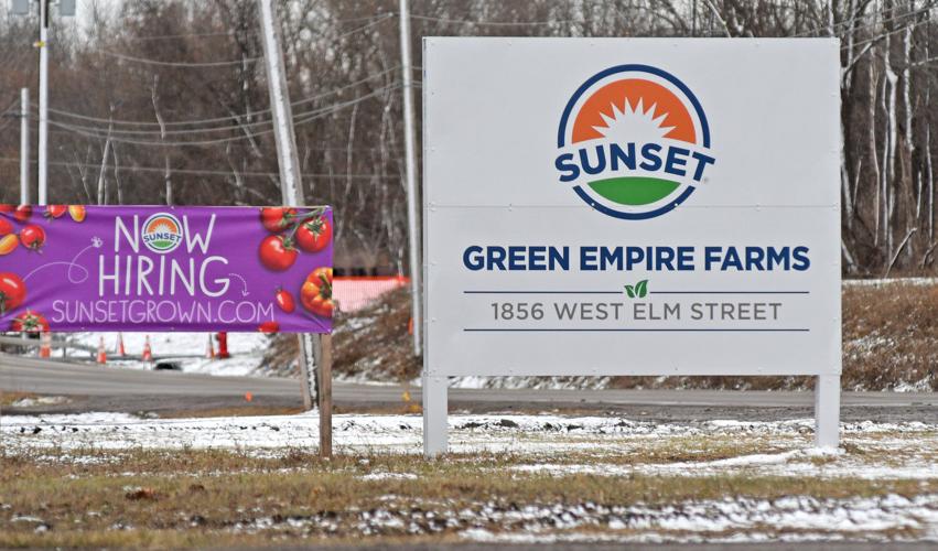 Giant greenhouse gets going, and growing Oneida