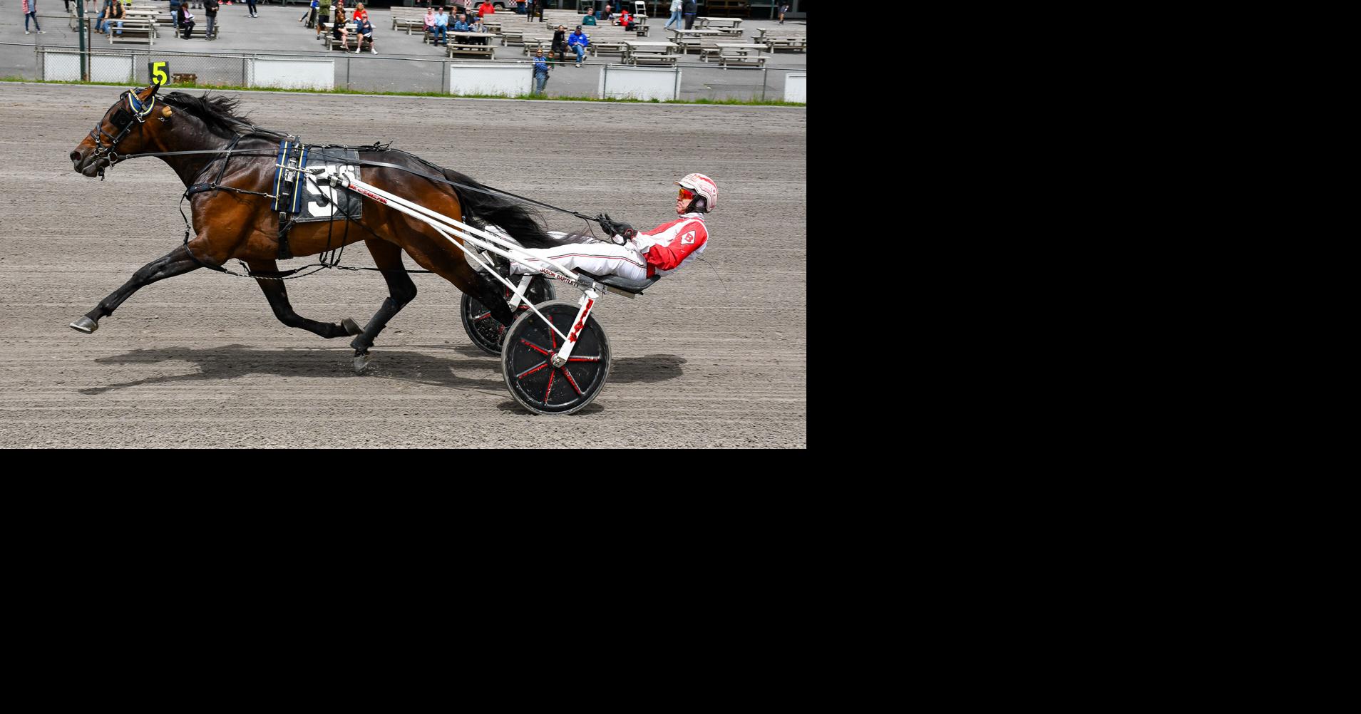 Read moreVernon Downs to feature Empire Breeders Classic on Friday