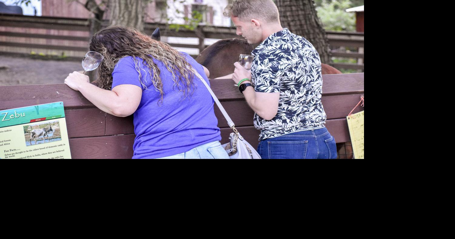 Wine in the Wilderness returns to Utica Zoo Utica