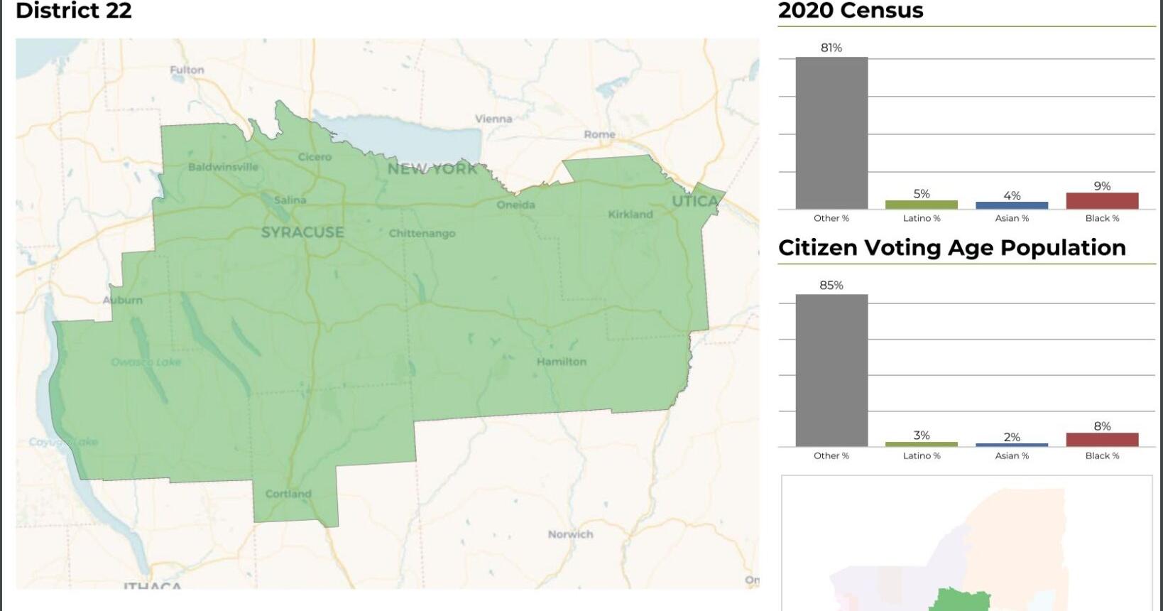 Oneida County Democratic Committee chair calls for Utica and Rome to be kept in same congressional district - Vimarsana News