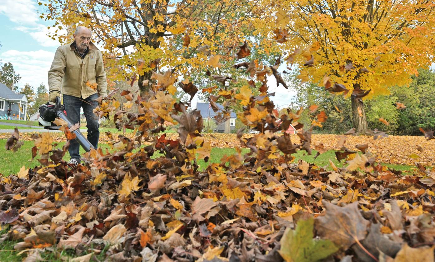 Pocatello Curbside Leaf Collection