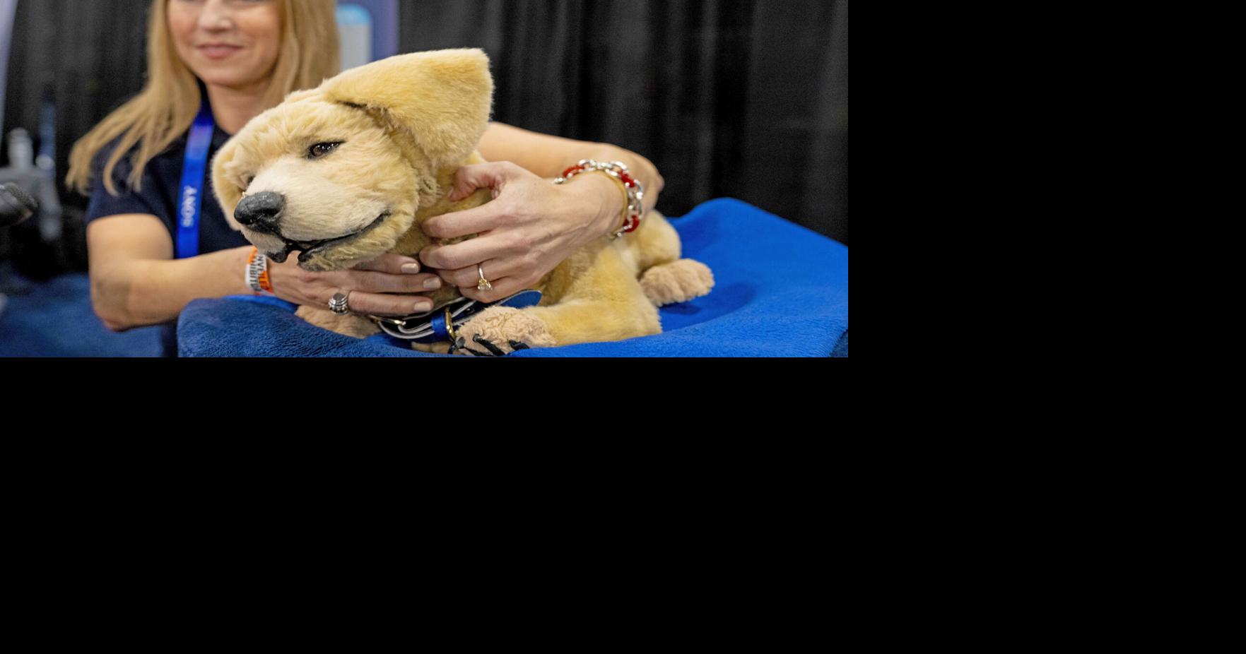 SAVVY SENIOR: Robotic pets can provide comfort to elderly seniors