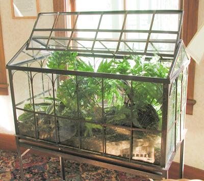 COLUMN: Make a terrarium this winter | News | romesentinel.com