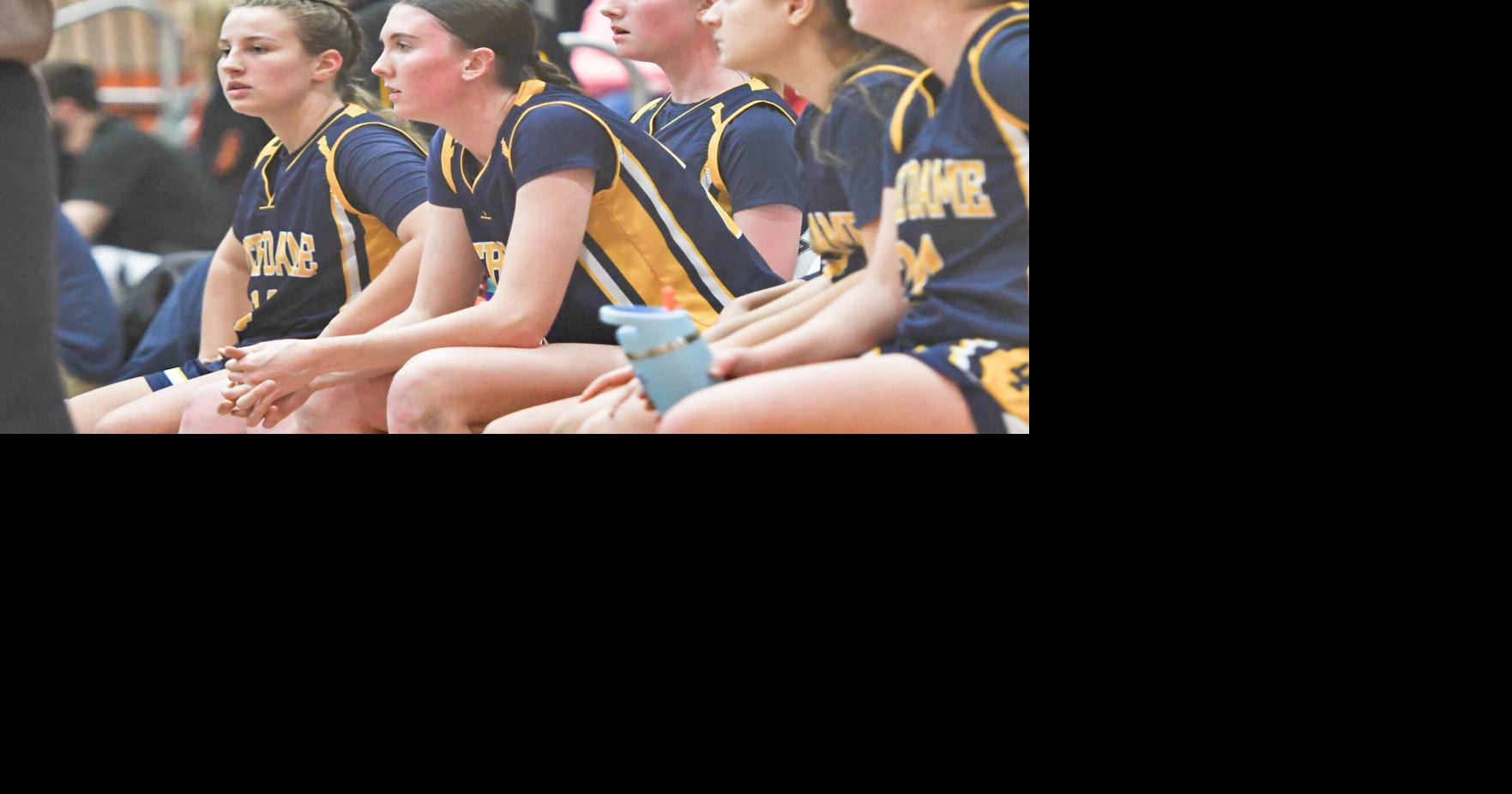 Emily Durr 'proud' of Trinkaus sisters, Utica Notre Dame basketball's shot at more glory