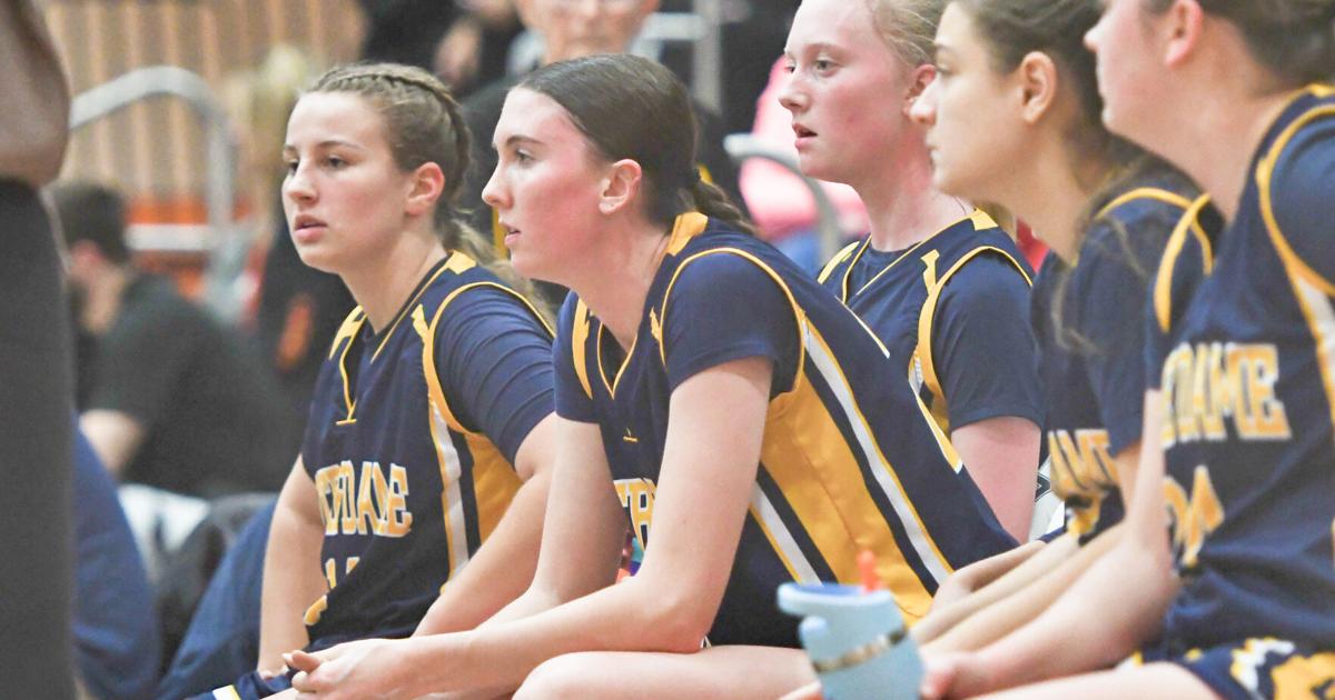 Emily Durr 'proud' of Trinkaus sisters, Utica Notre Dame basketball's shot at more glory