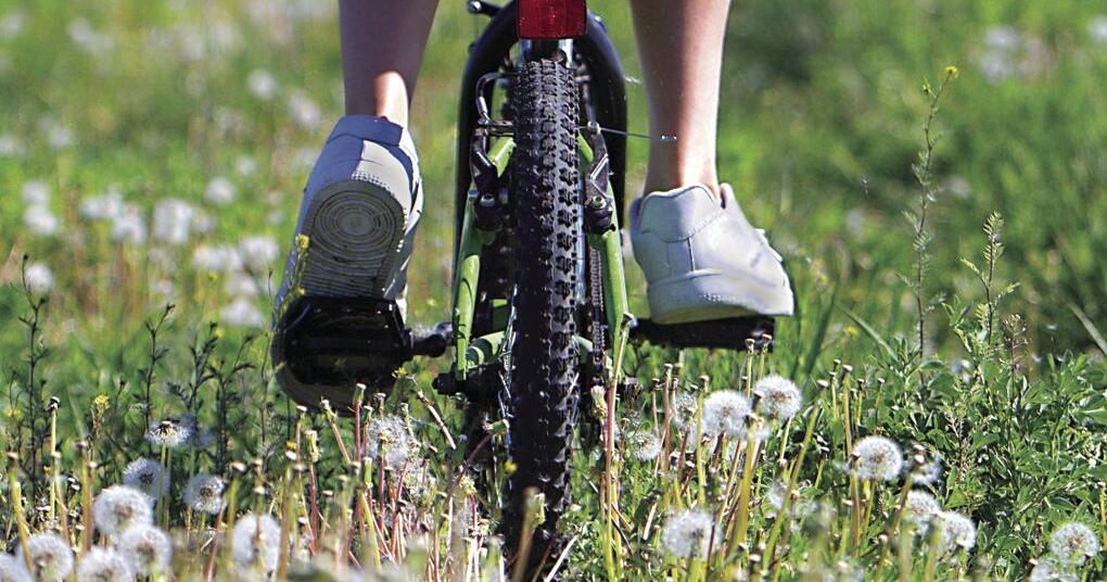 Pedaling towards hope: Creo's Bikes for Tykes initiative aims to assist at-risk youth - Vimarsana News