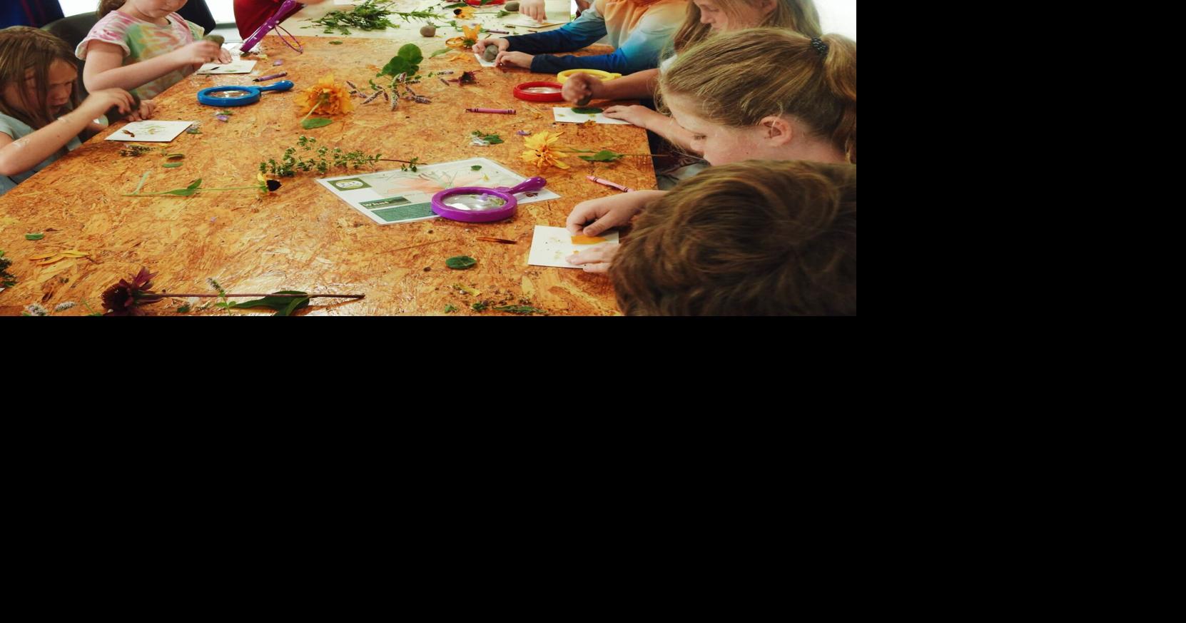 Rogers Center offers monthly programs for homeschool students