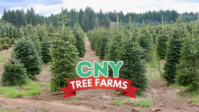 Your guide to Christmas tree farms in the greater Utica area | Editors ...
