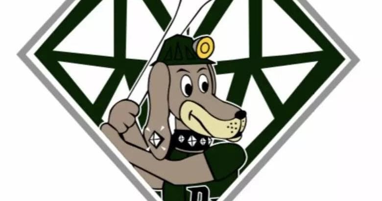 Read moreDiamondDawgs home games to be free for fans 17 and under this season