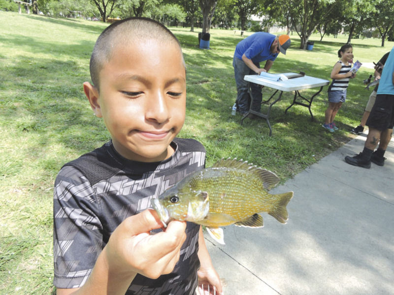 KidFish 4