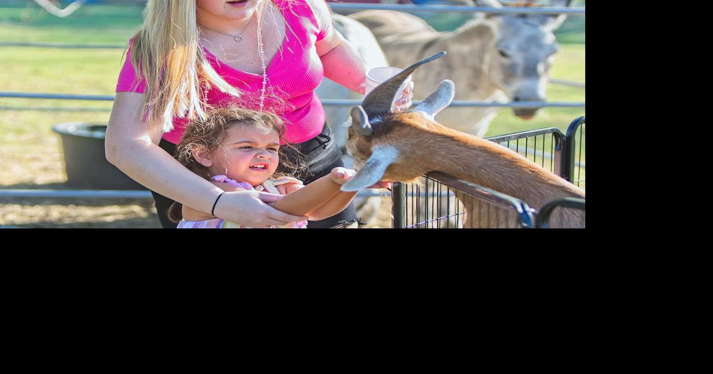 Sunshine Acres founder Michele Hall is hoping for an even busier 2024