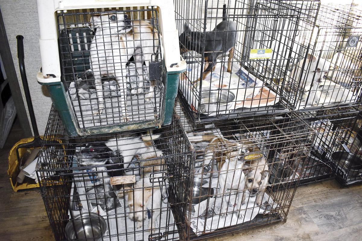 SPCA of Northern Nevada fears facility would disrupt animal shelter, image size:1200x800