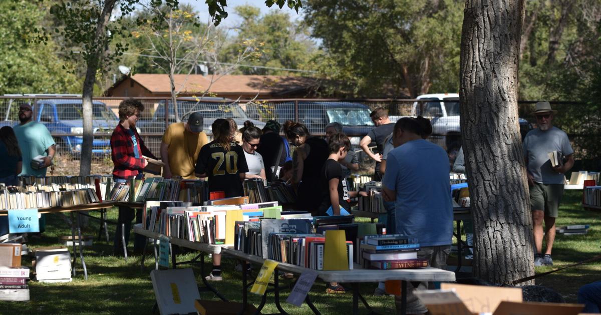 Book sale funds Corrales Library Corrales