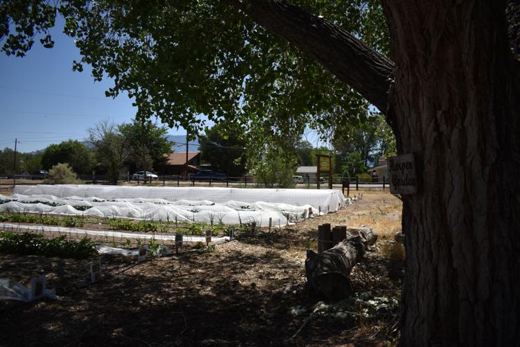 Photos Corrales Garden Tour highlights the beauty of the village