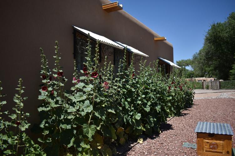 Photos Corrales Garden Tour highlights the beauty of the village