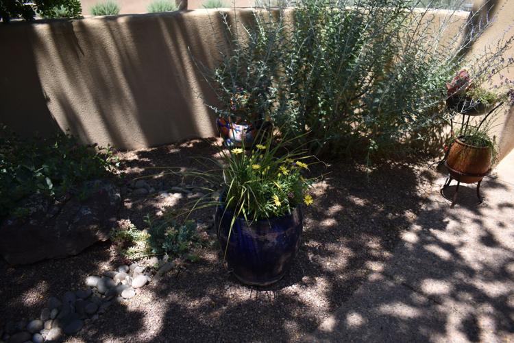 Photos Corrales Garden Tour highlights the beauty of the village