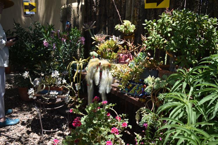 Photos Corrales Garden Tour highlights the beauty of the village