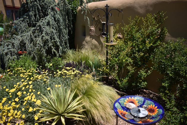 Photos Corrales Garden Tour highlights the beauty of the village