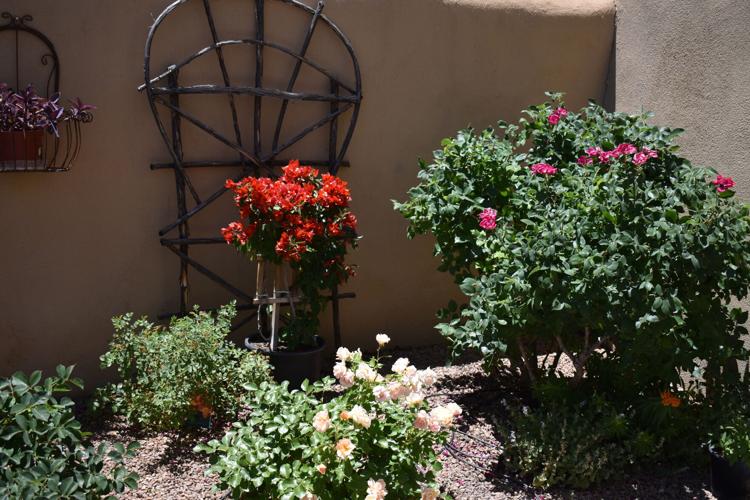 Photos Corrales Garden Tour highlights the beauty of the village