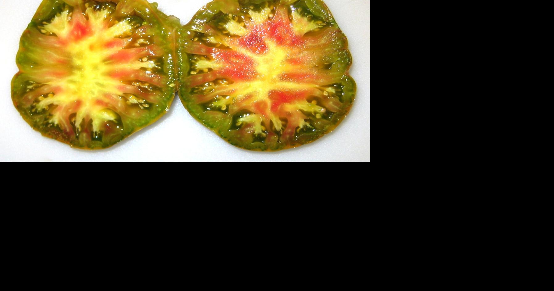 Gardening - Tomatoes