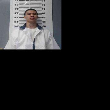 US Georgia Prison Fight Deaths