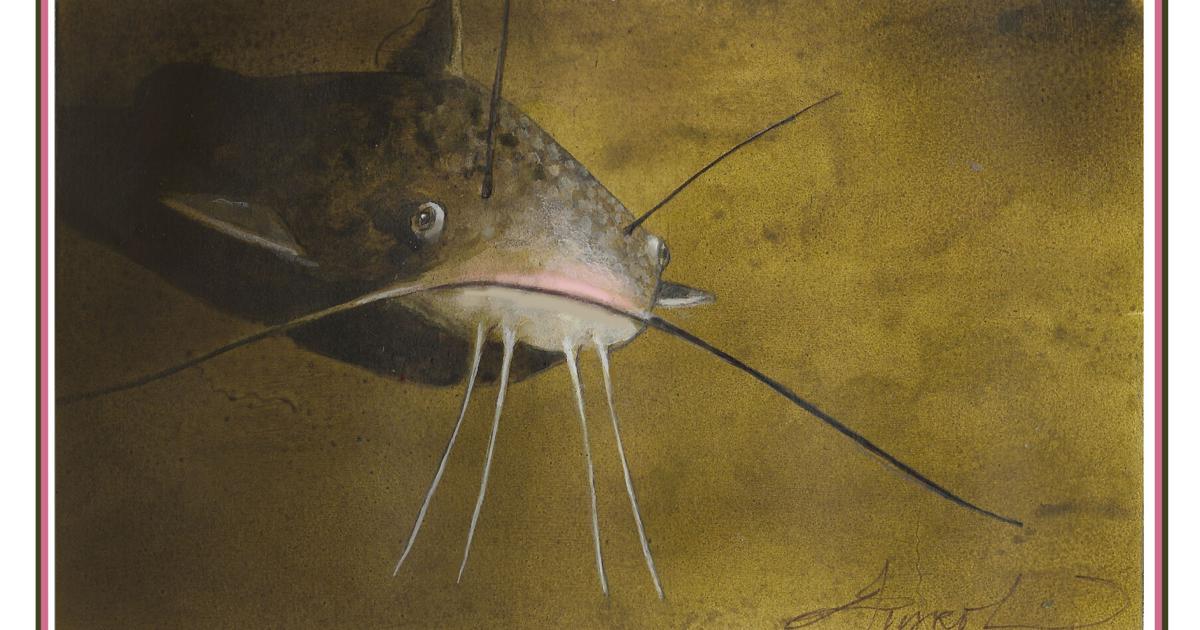 The Outside Story: Fish mouths, anatomy suggests ecology
