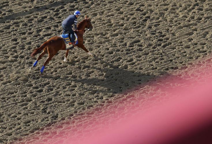 Awesome Speed Preakness updates